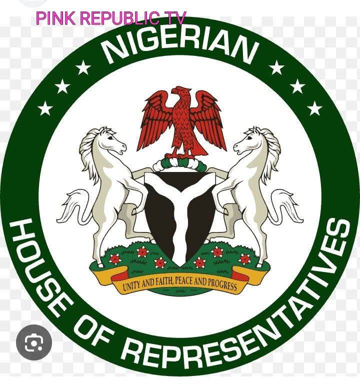 https://pinkrepublic12.blogspot.com/2026/05/house-of-representatives-moves-to.html?m=1