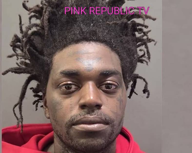 https://pinkrepublic12.blogspot.com/2026/05/rapper-kodak-black-arrested-on-mdma.html?m=1