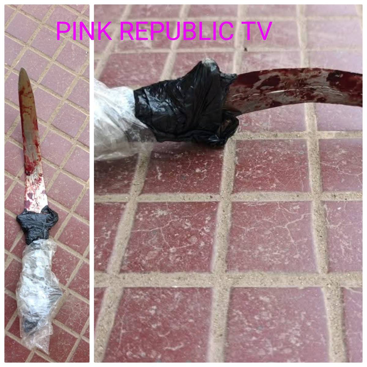 https://pinkrepublic12.blogspot.com/2026/05/police-respond-to-distress-call-arrest.html?m=1
