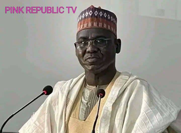 https://pinkrepublic12.blogspot.com/2026/05/buratai-backs-sons-political-ambition.html?m=1