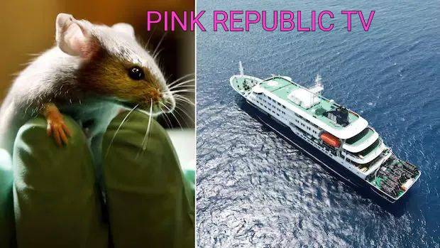 https://pinkrepublic12.blogspot.com/2026/05/centers-for-disease-control-and.html?m=1
