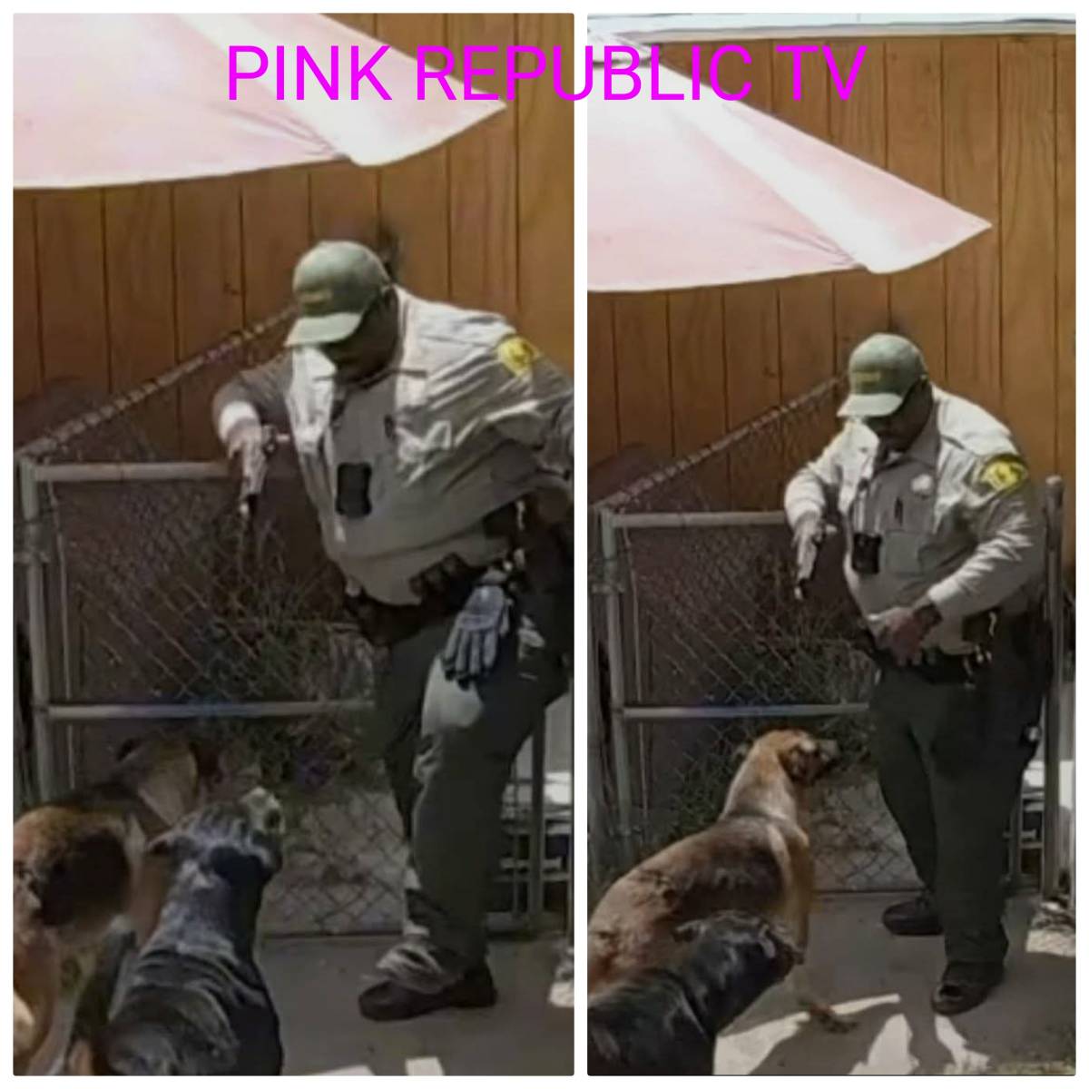 https://pinkrepublic12.blogspot.com/2026/05/a-homeowner-is-demanding-answers-after.html?m=1