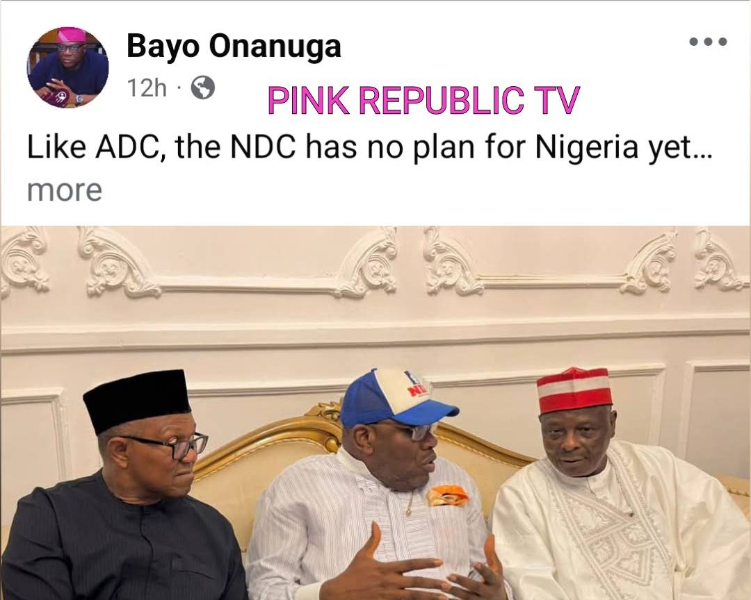 https://pinkrepublic12.blogspot.com/2026/05/like-adc-ndc-has-no-plan-for-nigeria.html?m=1
