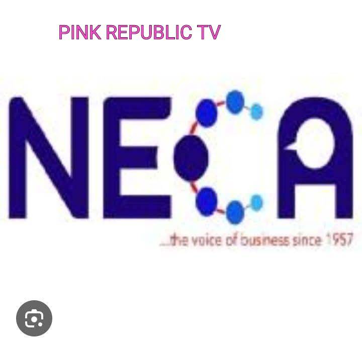 https://pinkrepublic12.blogspot.com/2026/05/neca-dg-urges-fg-to-audit.html?m=1