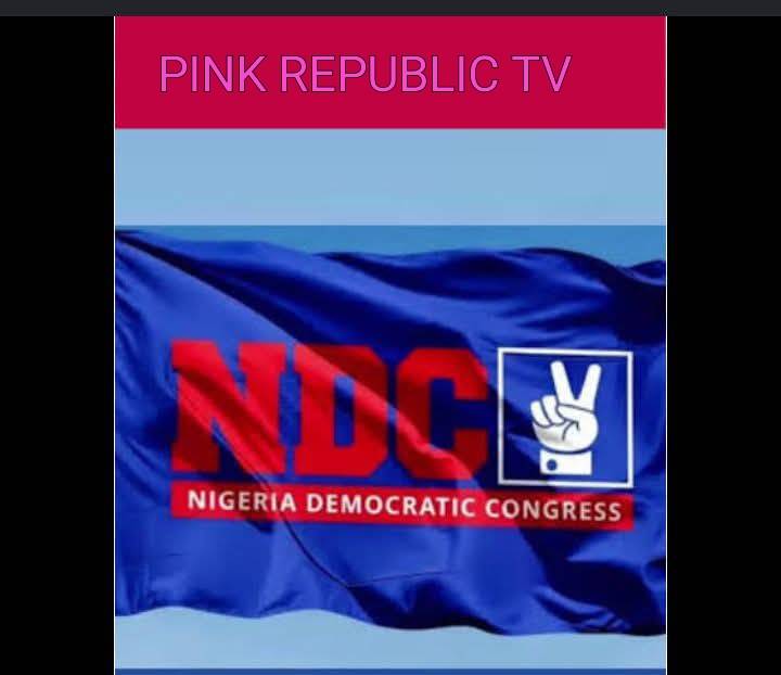 https://pinkrepublic12.blogspot.com/2026/05/ndc-presidential-and-governorship-forms.html?m=1