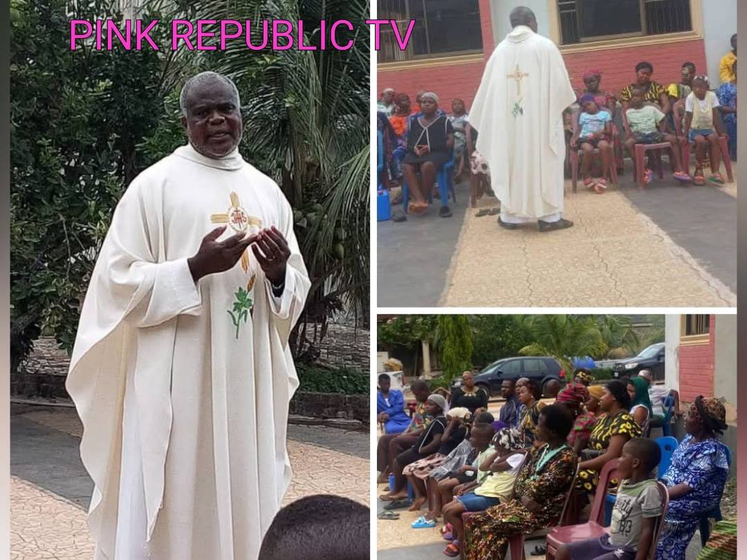 https://pinkrepublic12.blogspot.com/2026/05/cleric-advocates-perseverance-to-life.html?m=1