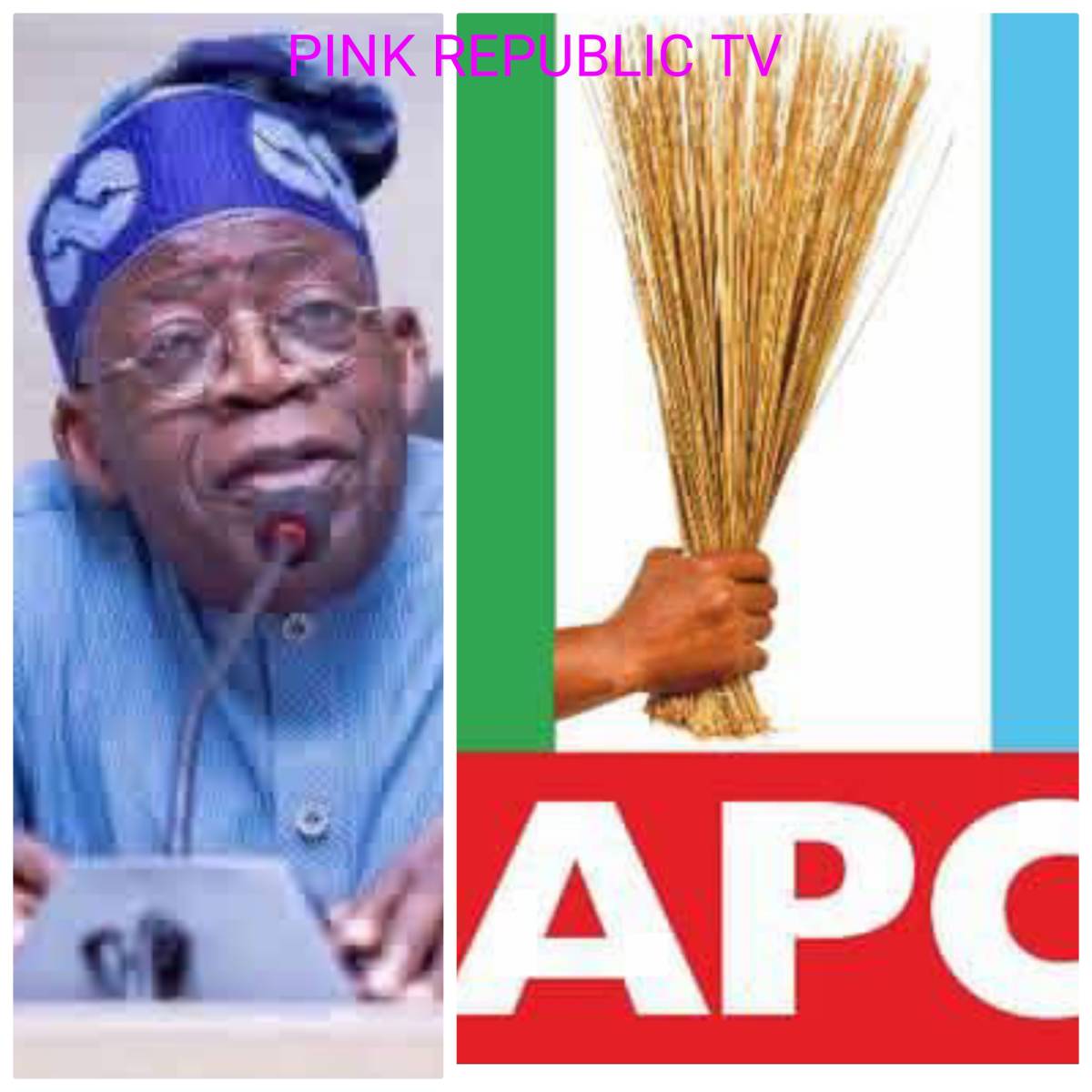 https://pinkrepublic12.blogspot.com/2026/05/president-bola-ahmed-tinubus-statement.html?m=1