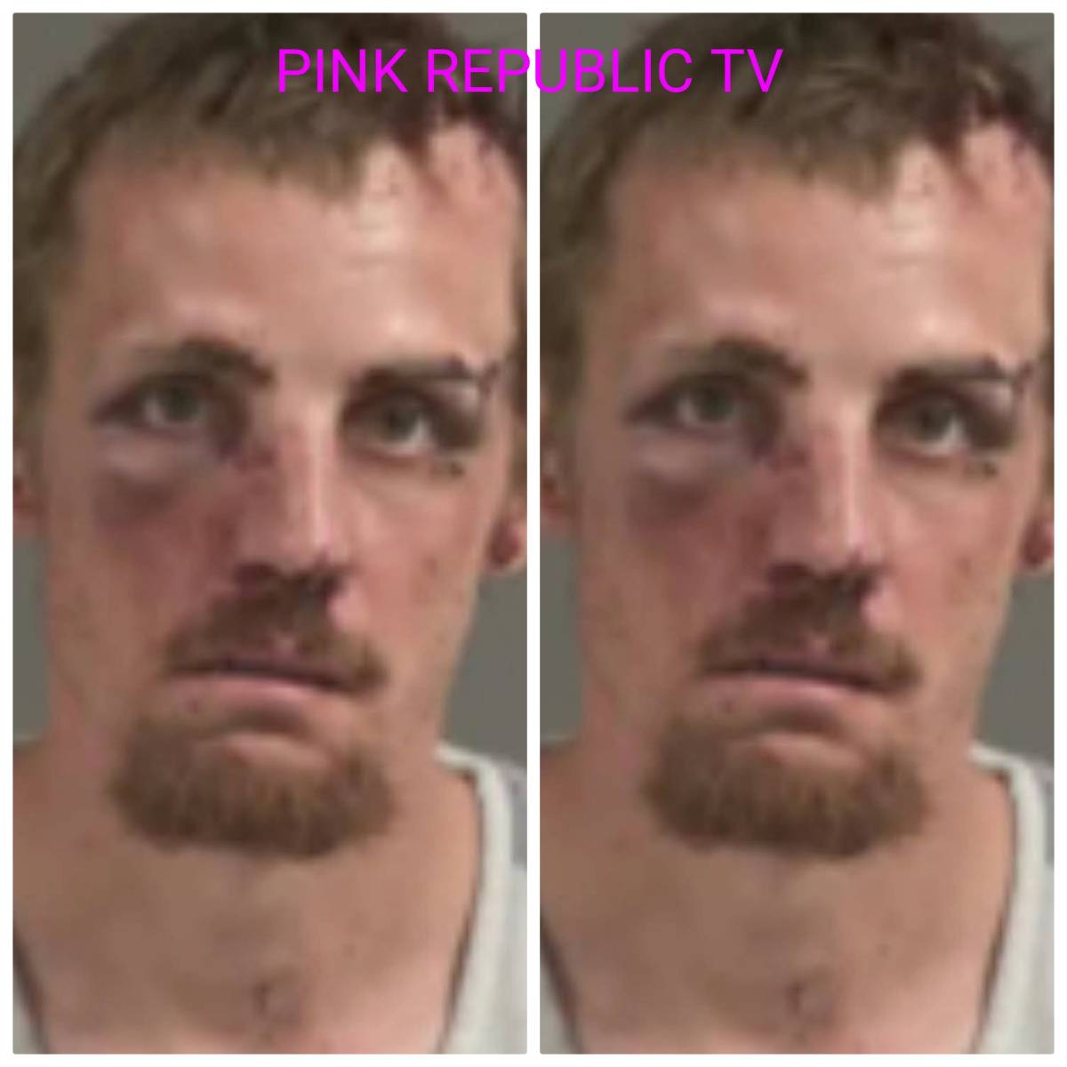 https://pinkrepublic12.blogspot.com/2026/05/a-south-carolina-man-got-some-of-his.html?m=1