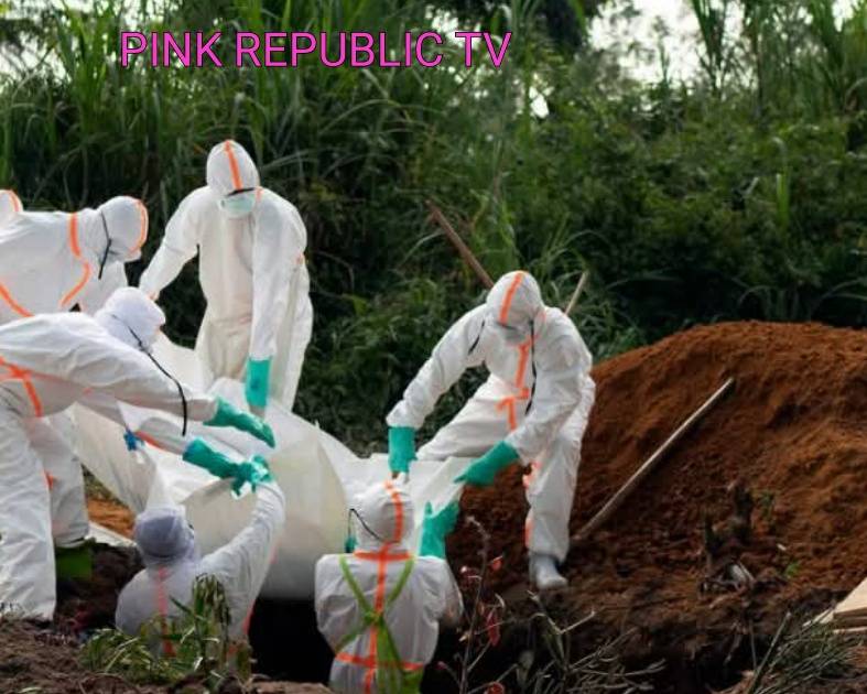 https://pinkrepublic12.blogspot.com/2026/05/new-ebola-outbreak-confirmed-in-congos.html?m=1