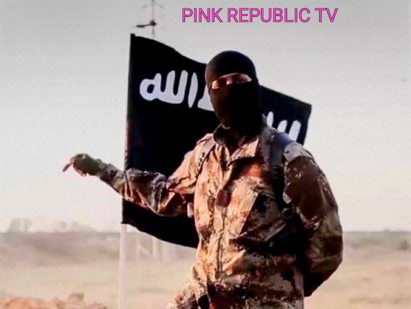 https://pinkrepublic12.blogspot.com/2026/05/why-killing-of-abu-bilal-al-manuki-by.html?m=1