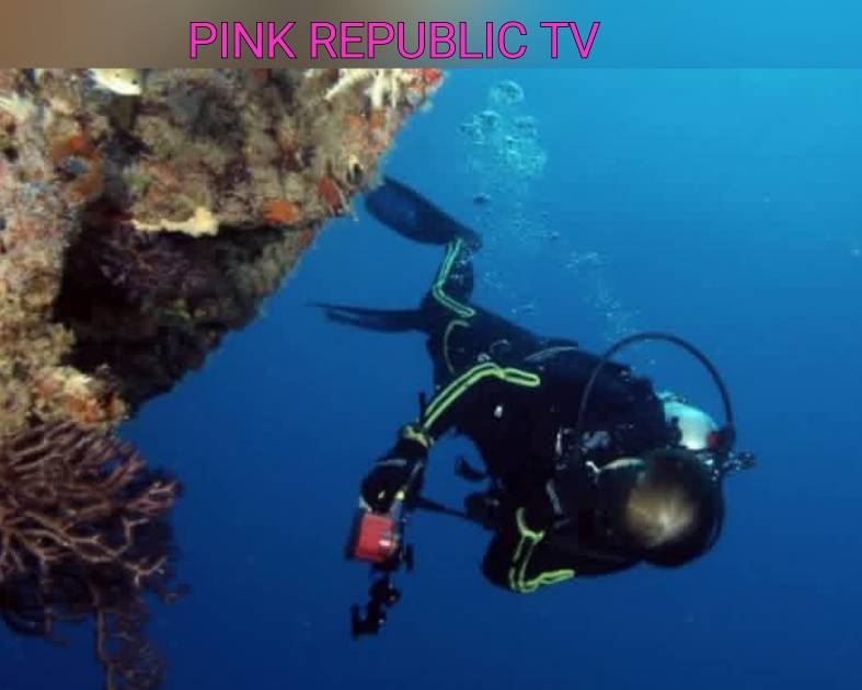 https://pinkrepublic12.blogspot.com/2026/05/maldivian-rescue-diver-dies-during.html?m=1