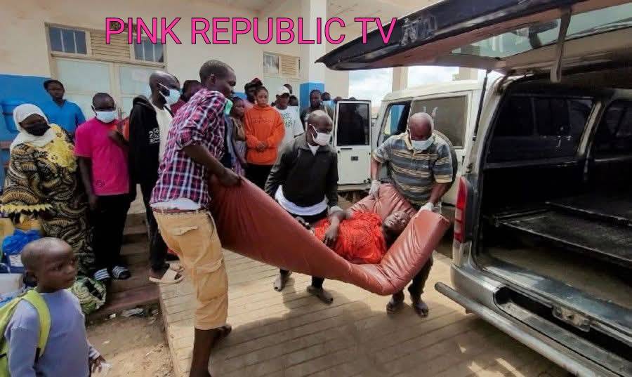 https://pinkrepublic12.blogspot.com/2026/05/who-declares-ebola-outbreak-in-congo.html?m=1