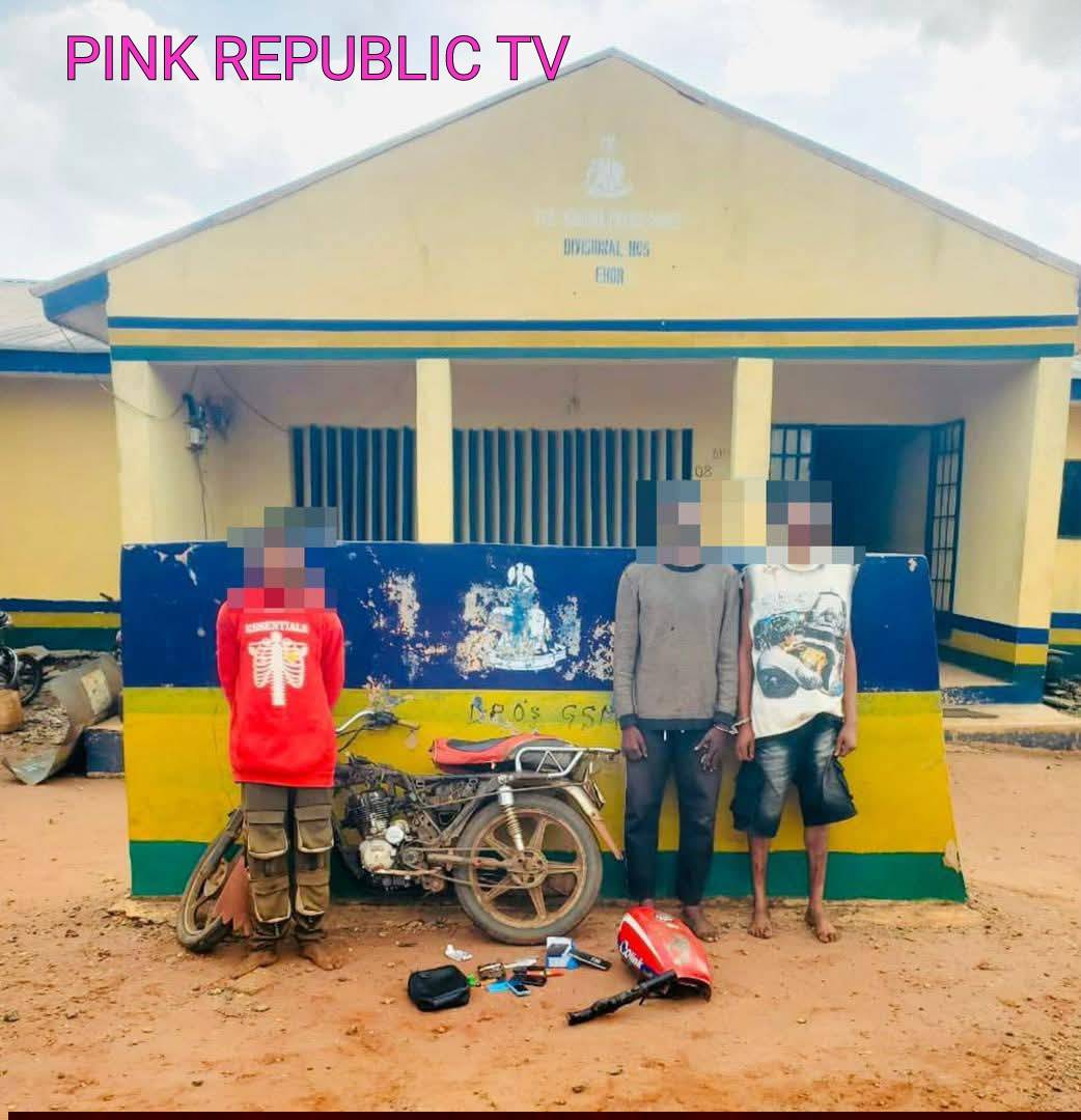 https://pinkrepublic12.blogspot.com/2026/05/edo-police-neutralize-1-arrest-3.html?m=1