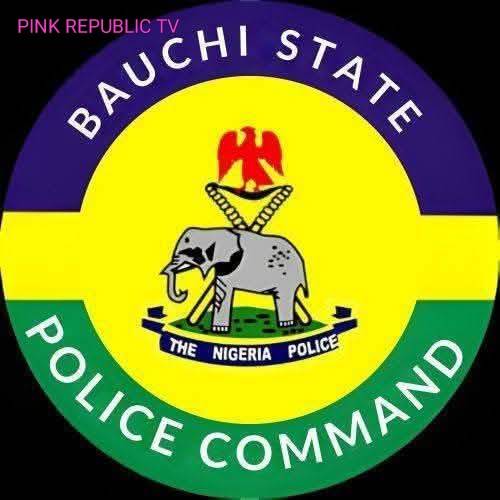 https://pinkrepublic12.blogspot.com/2026/05/cp-sani-omolori-pays-condolence-visit.html?m=1