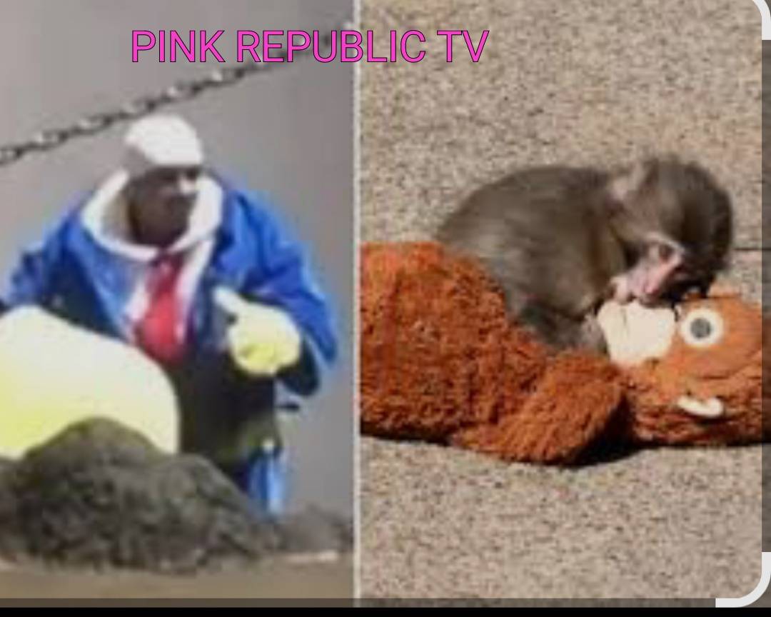 https://pinkrepublic12.blogspot.com/2026/05/two-americans-arrested-in-japan-after.html?m=1