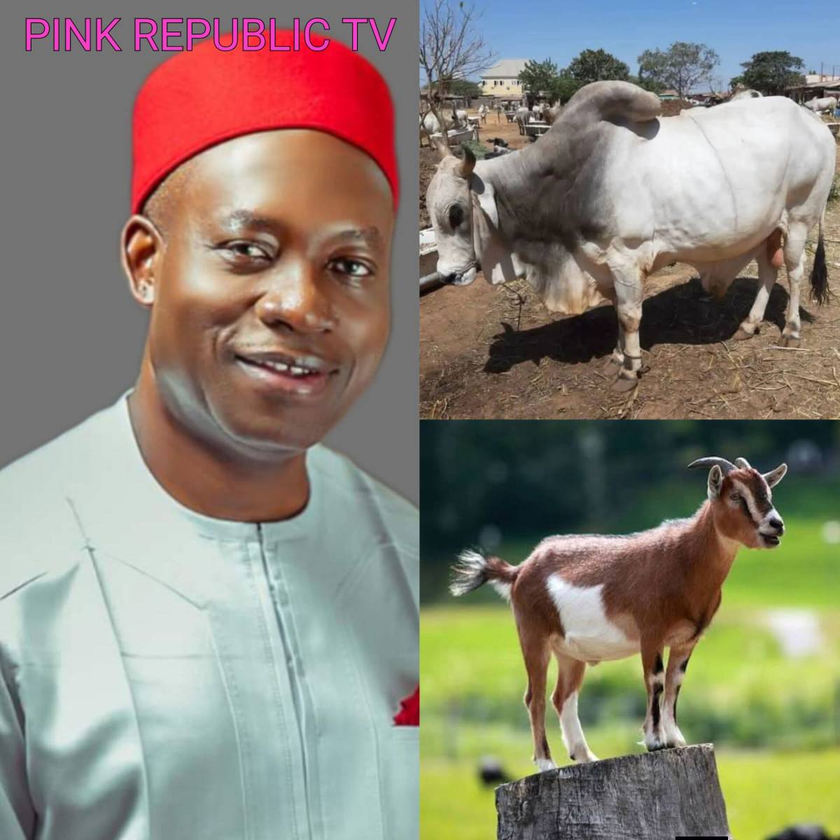 https://pinkrepublic12.blogspot.com/2026/05/gov-soludo-introduces-new-burial-law.html?m=1