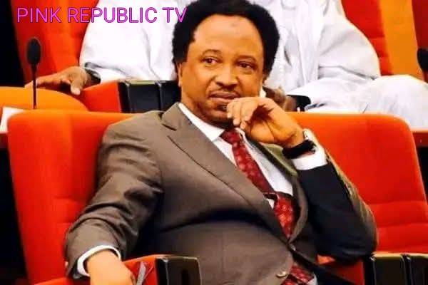 https://pinkrepublic12.blogspot.com/2026/05/shehu-sani-wins-apc-kaduna-central.html?m=1