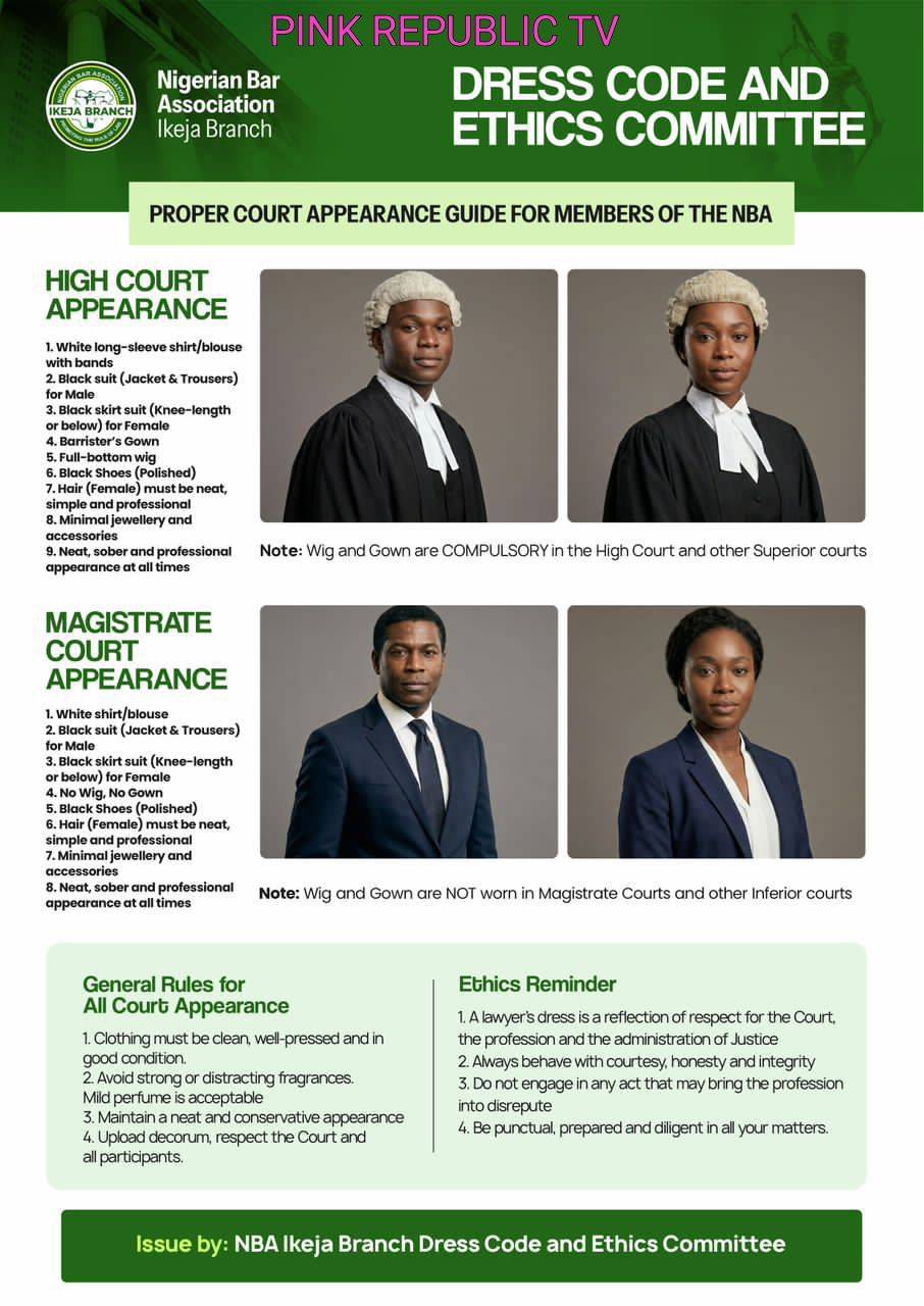 https://pinkrepublic12.blogspot.com/2026/05/proper-court-appearance-guide-for.html?m=1