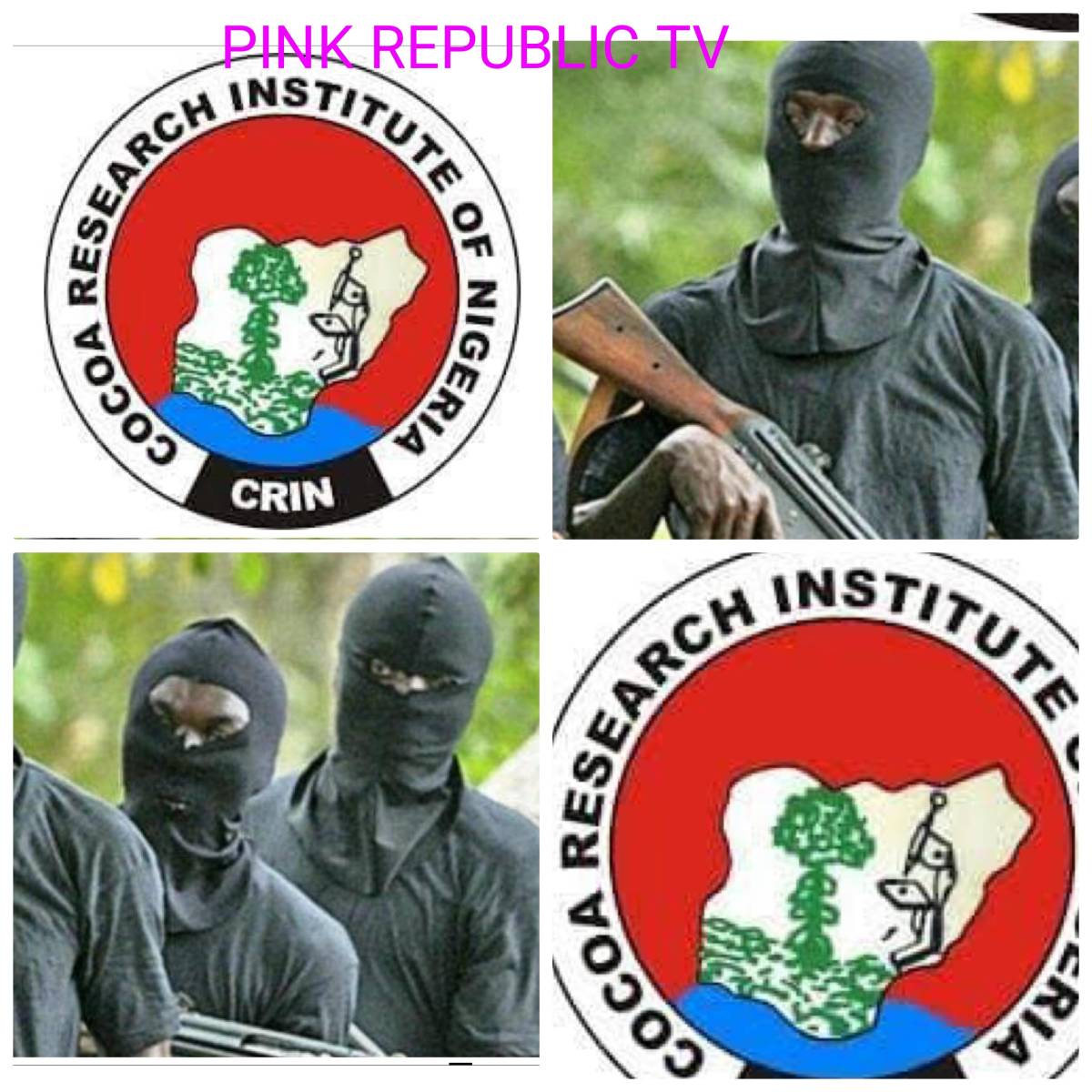 https://pinkrepublic12.blogspot.com/2026/05/gunmen-abduct-two-cocoa-research.html?m=1
