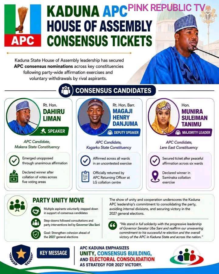 https://pinkrepublic12.blogspot.com/2026/05/kaduna-speaker-deputy-speaker-majority.html?m=1