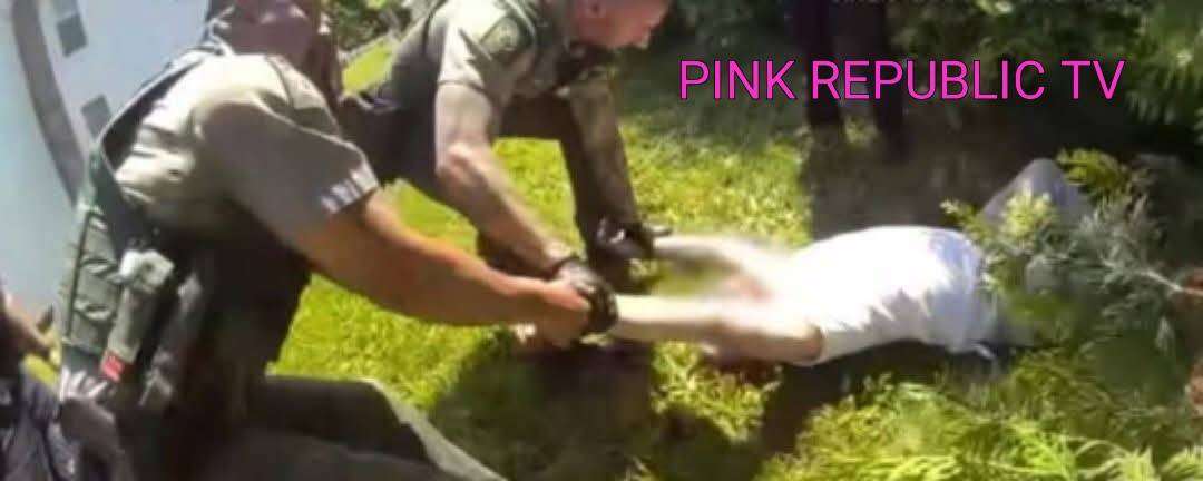 https://pinkrepublic12.blogspot.com/2026/05/an-85-year-old-man-heroically.html?m=1