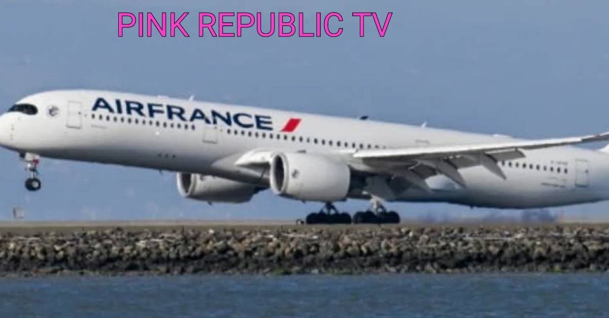 https://pinkrepublic12.blogspot.com/2026/05/air-france-flight-diverted-to-canada.html?m=1