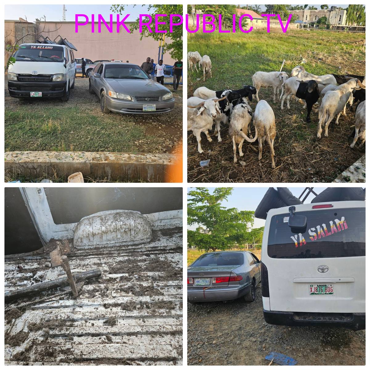 https://pinkrepublic12.blogspot.com/2026/05/police-arrest-suspect-recover-18-stolen.html?m=1