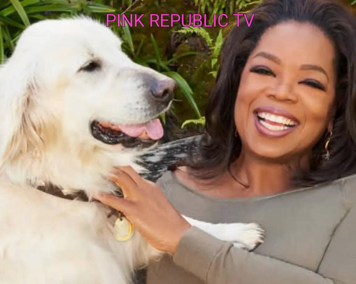 https://pinkrepublic12.blogspot.com/2026/05/everybody-who-has-dog-has-story-oprah.html?m=1