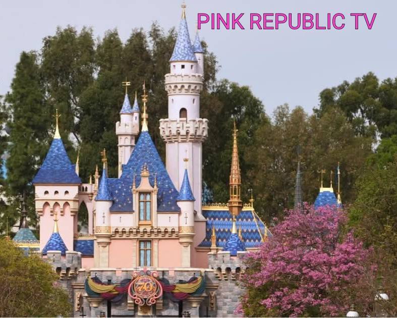 https://pinkrepublic12.blogspot.com/2026/05/disney-sued-over-alleged-use-of-facial.html?m=1