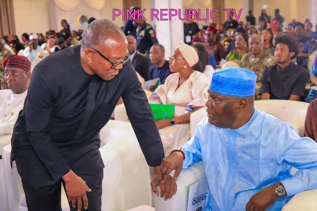 https://pinkrepublic12.blogspot.com/2026/05/peter-obi-denies-avoiding-atiku.html?m=1