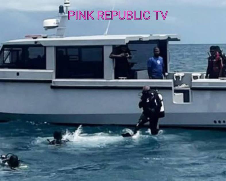 https://pinkrepublic12.blogspot.com/2026/05/final-two-bodies-of-italian-cave-diving.html?m=1