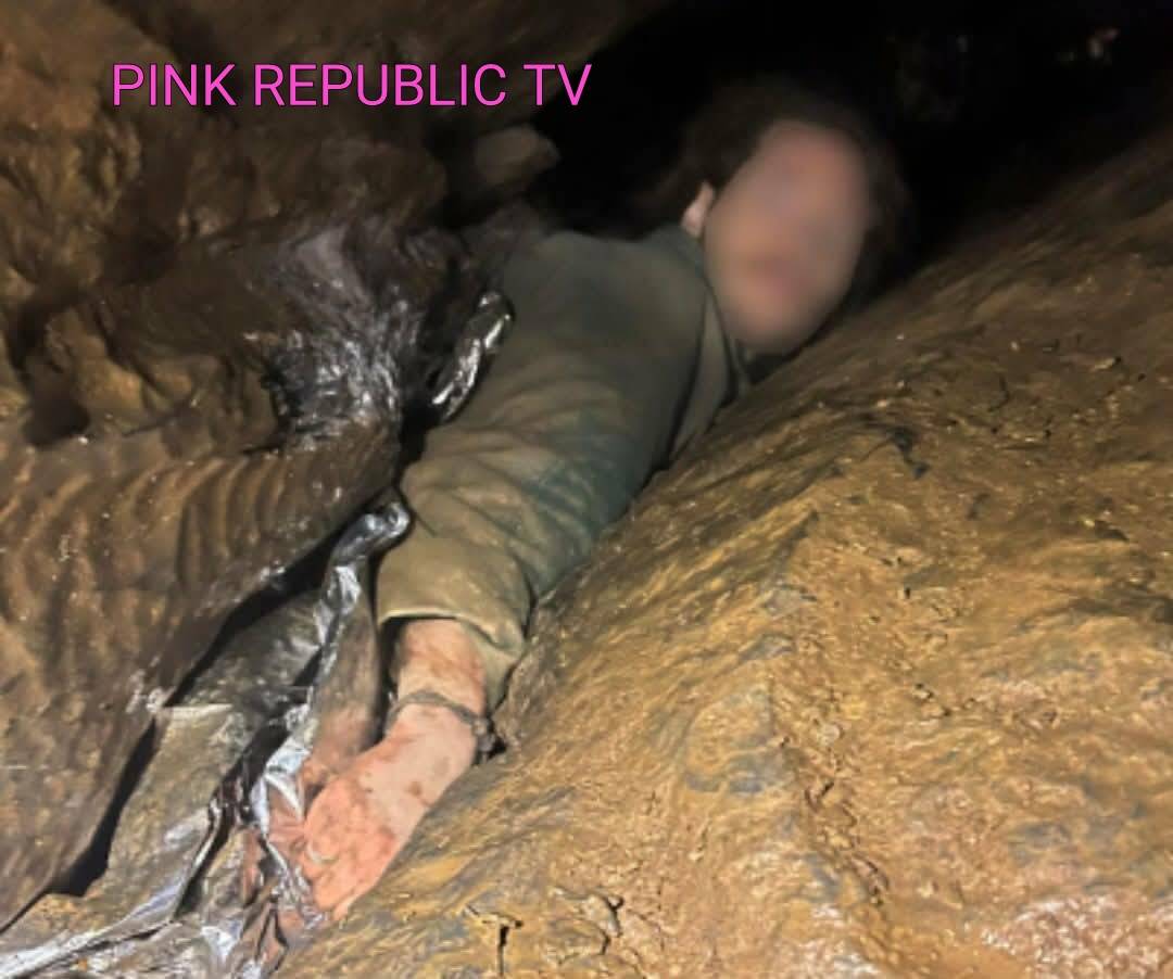 https://pinkrepublic12.blogspot.com/2026/05/an-absolute-nightmare-situation.html?m=1