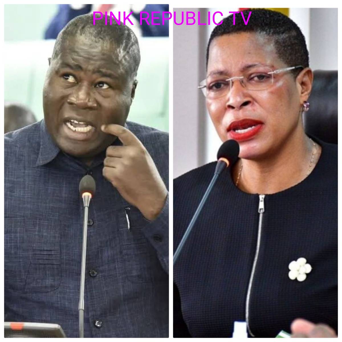 https://pinkrepublic12.blogspot.com/2026/05/uganda-elects-new-speaker-to-succeed.html?m=1