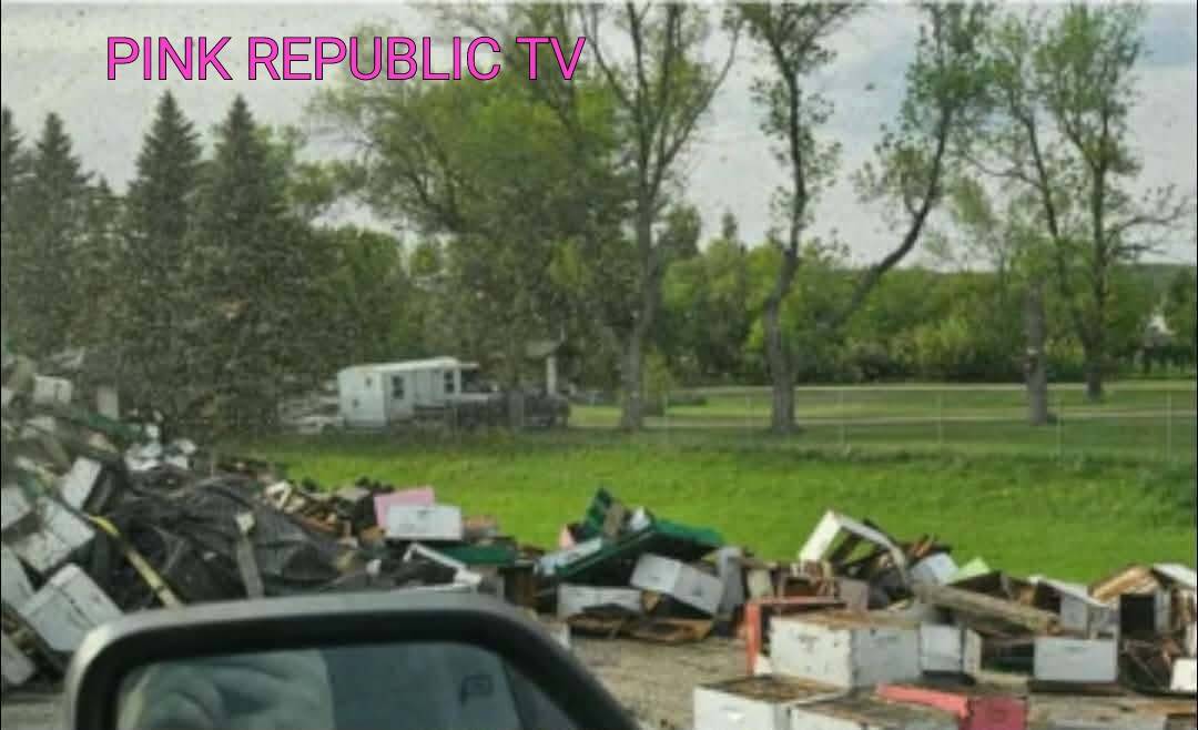 https://pinkrepublic12.blogspot.com/2026/05/an-interstate-accident-led-to-2-million.html?m=1