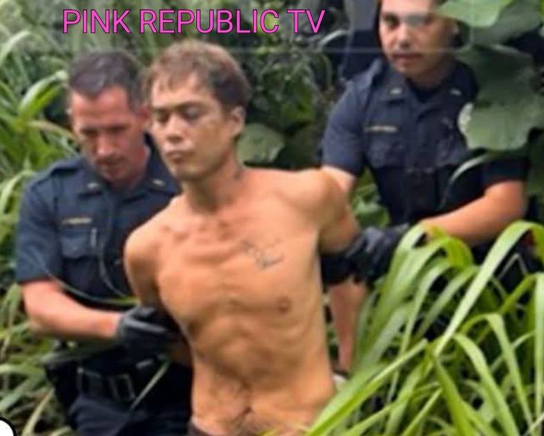 https://pinkrepublic12.blogspot.com/2026/06/hawaii-man-charged-with-murder-in.html?m=1