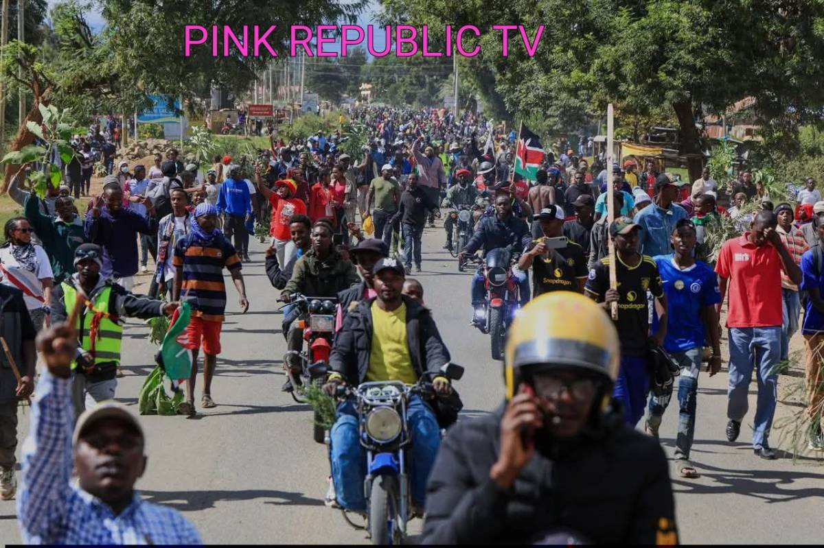 https://pinkrepublic12.blogspot.com/2026/06/hundreds-protest-outside-kenyas-ebola.html?m=1
