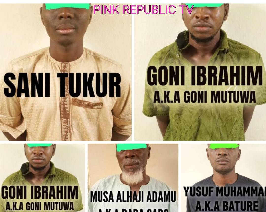 https://pinkrepublic12.blogspot.com/2026/06/dss-arrests-five-arms-couriers-two.html?m=1