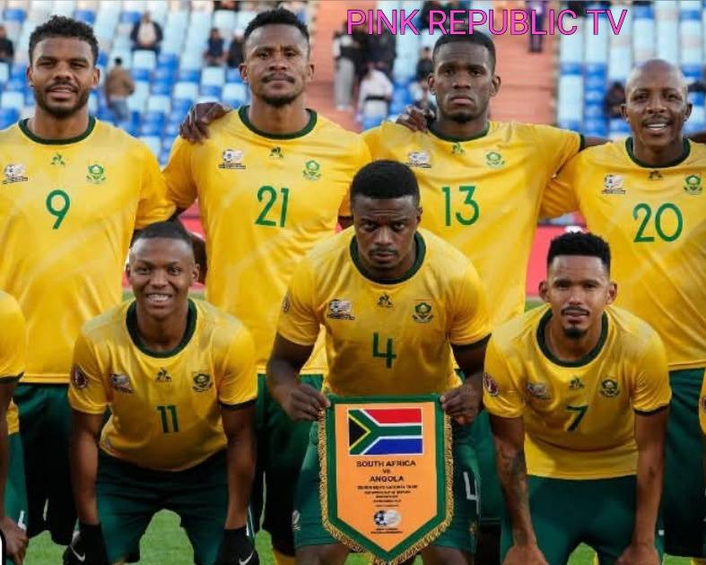 https://pinkrepublic12.blogspot.com/2026/06/south-africa-world-cup-squad-delayed.html?m=1