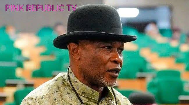 https://pinkrepublic12.blogspot.com/2026/06/reps-minority-leader-kingsley-chinda.html?m=1