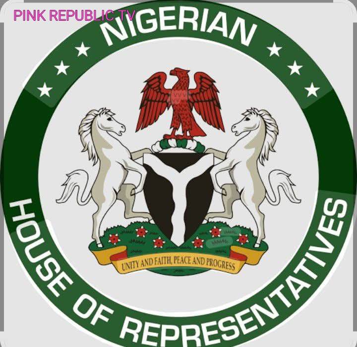 https://pinkrepublic12.blogspot.com/2026/06/house-of-representatives-calls-for.html?m=1