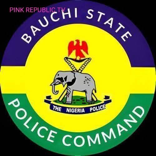 https://pinkrepublic12.blogspot.com/2026/06/teenager-arrested-over-suspected.html?m=1