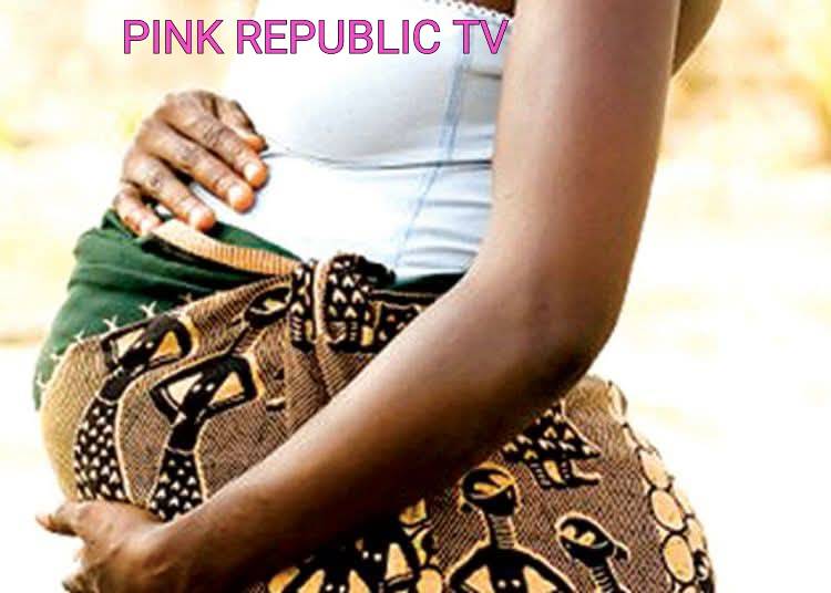 https://pinkrepublic12.blogspot.com/2026/06/ariko-abduction-kaduna-woman-gives.html?m=1