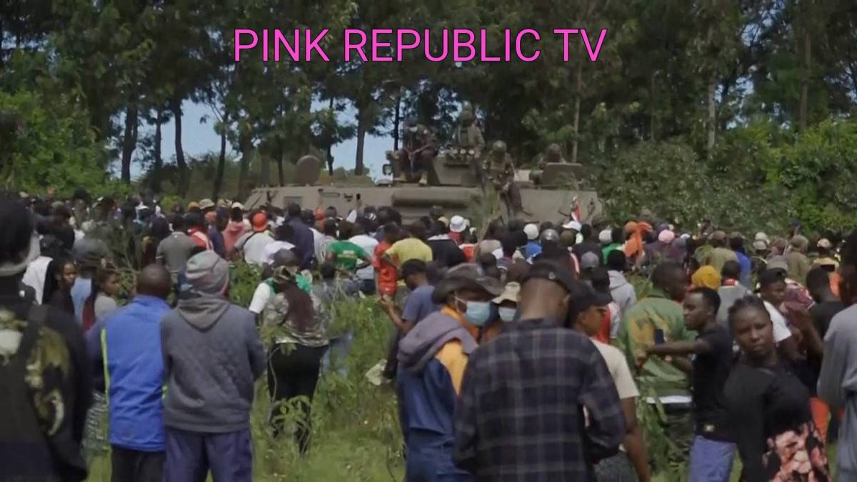 https://pinkrepublic12.blogspot.com/2026/06/us-equipment-experts-arrive-at-kenya.html?m=1