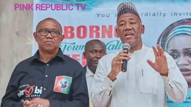 https://pinkrepublic12.blogspot.com/2026/06/i-joined-peter-obi-out-of-sympathy.html?m=1
