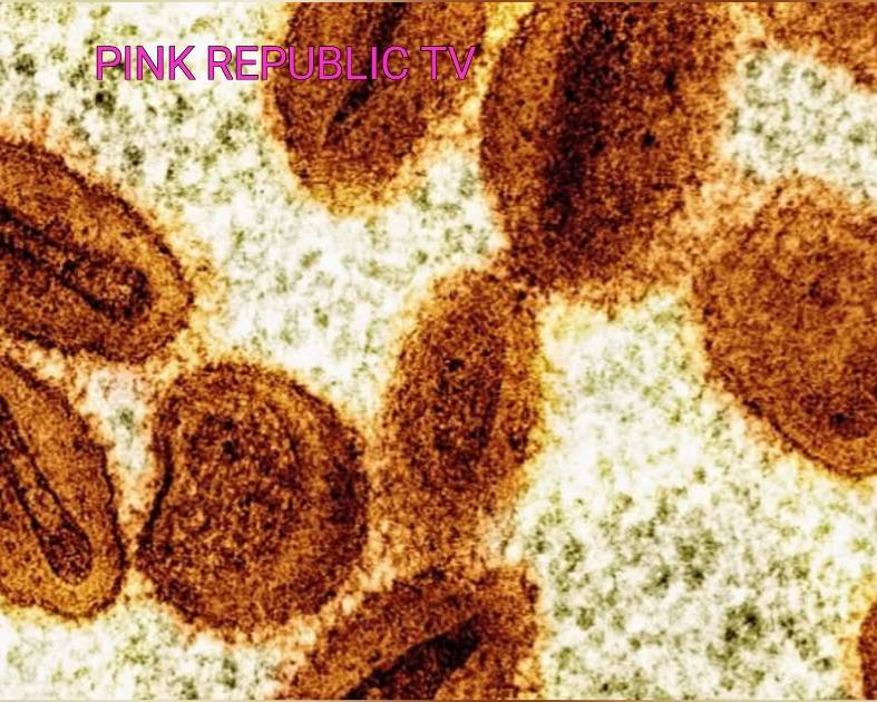 https://pinkrepublic12.blogspot.com/2026/06/two-us-government-lab-scientists.html?m=1