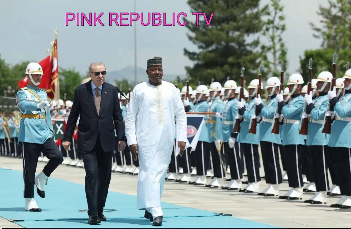https://pinkrepublic12.blogspot.com/2026/06/turkiyes-erdogan-hosts-nigers-tiani-in.html?m=1