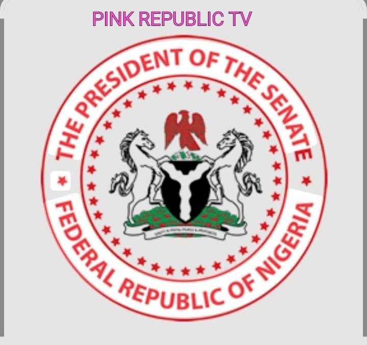 https://pinkrepublic12.blogspot.com/2026/06/clarification-on-primaries-results.html?m=1