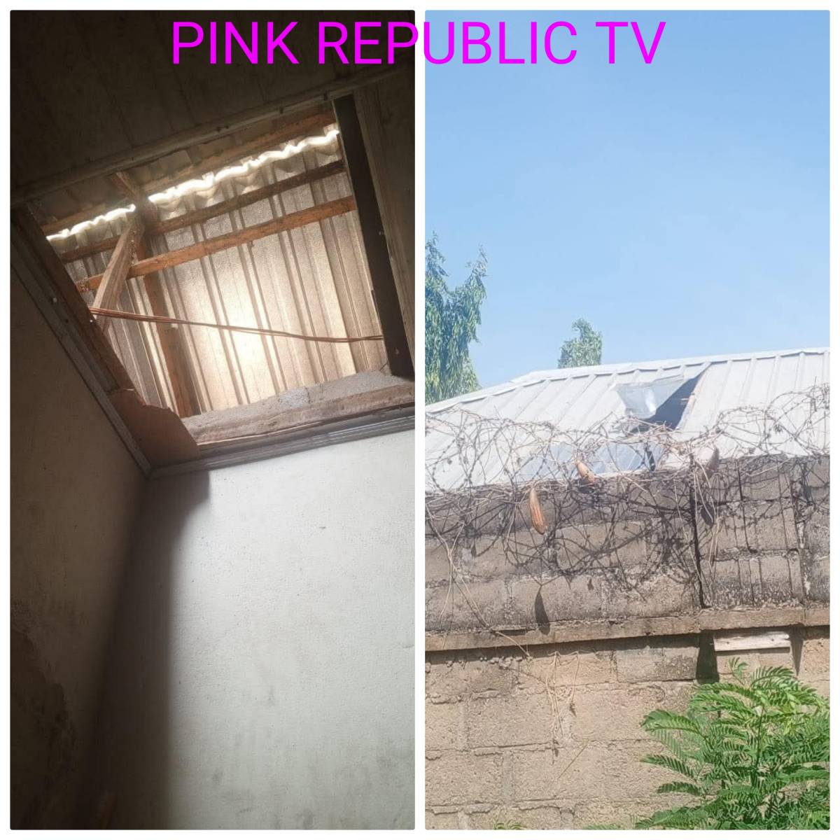 https://pinkrepublic12.blogspot.com/2026/06/setting-records-straight-on-citizen.html?m=1