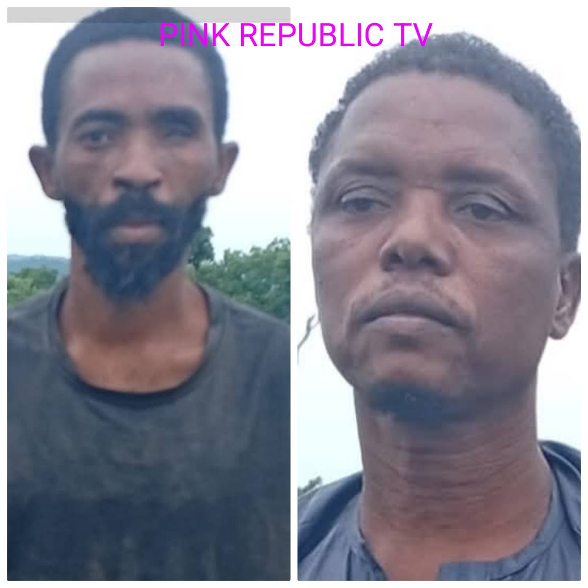 https://pinkrepublic12.blogspot.com/2026/06/nigerian-army-troops-rescue-two-kidnap.html?m=1