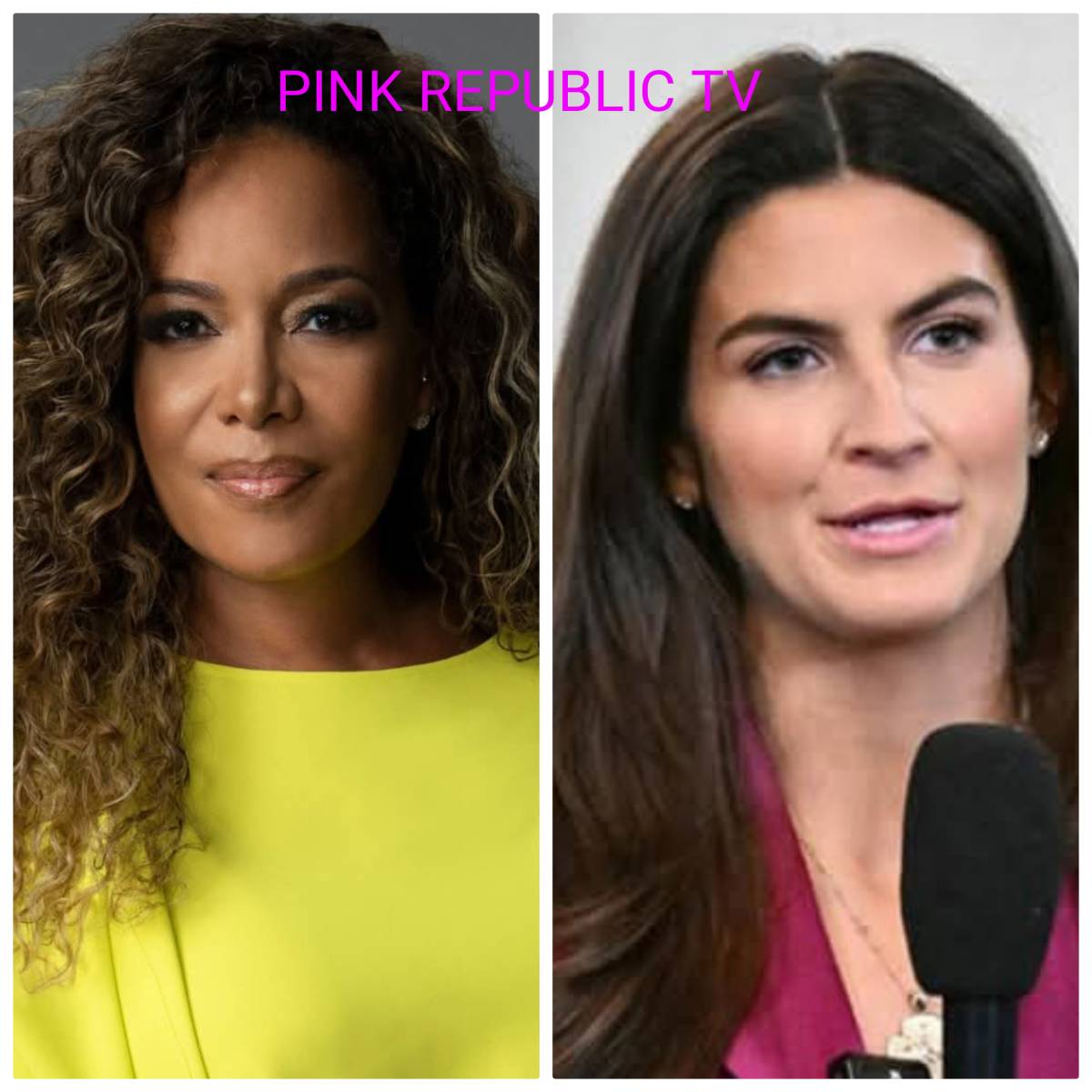 https://pinkrepublic12.blogspot.com/2026/06/the-view-co-host-sunny-hostin-argues.html?m=1